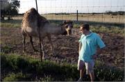 greg and the camel